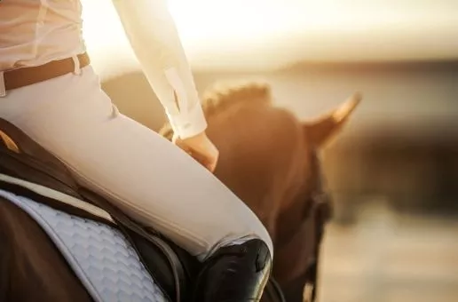 Day 4: Montadroit — Two-Day Horse Riding Retreat in the Wilderness