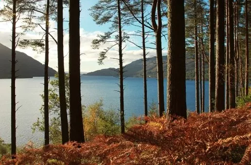 Day 11: Glasgow — Lochs and Legends