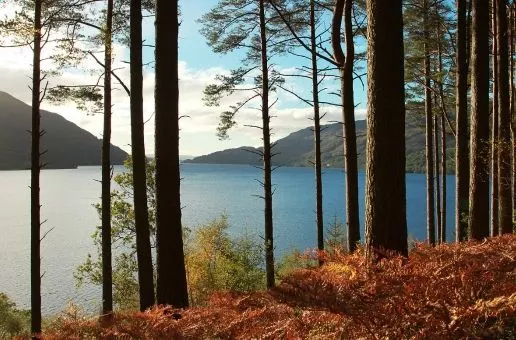Day 12: Edinburgh — TROSSACHS NATIONAL Natural Wonders before