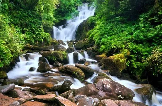 Day 5: Killarney — Natural Wonders