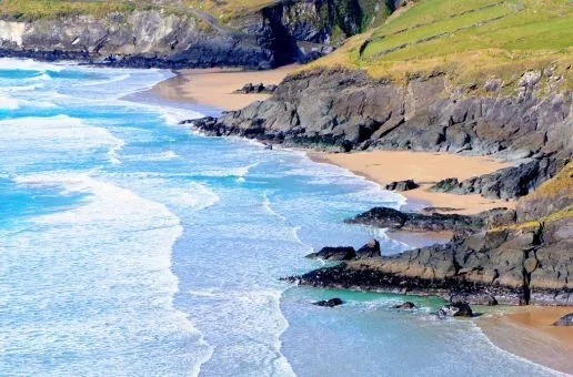 Day 6: Dingle — Islands and Wildlife