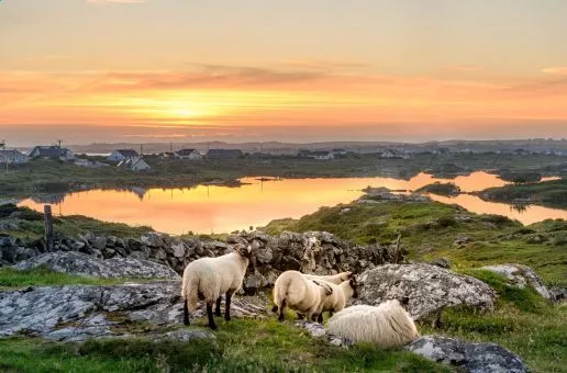 Day 8: Connemara — Exploring the Connemara