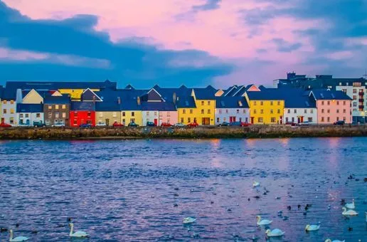 Day 9: Shannon Airport — A Last Look at Our Irish Expedition