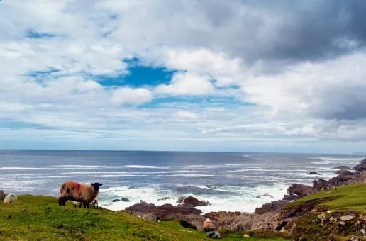 Day 7: Achill Island — A seaweed bath experience awaits you!