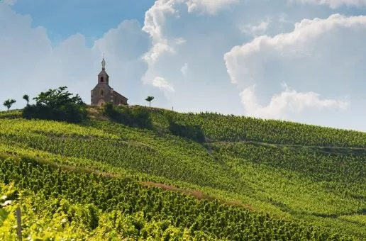 Day 5: Lyon — Vineyards & Village