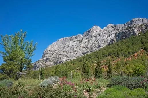 Day 11: Marseille — Exploring Cézanne’s Country