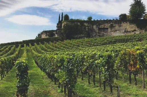 Day 5: Bordeaux — A Cycling Odyssey Through Saint‑Émilion’s Vineyards