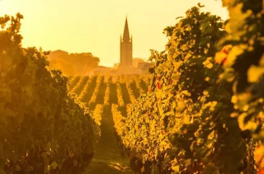 Day 10: Bordeaux — Red Wine to Go Please!