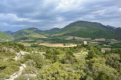 Day 10: Avignon — A day in Provence
