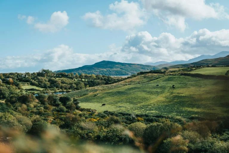 Day 2: Walk from Glenbeigh to Cahersiveen
