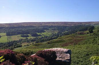 Day 5: York — Steam Trains, Whitby, and the North Moors “a