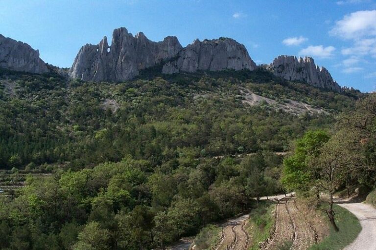 Day 5: Baumes-de-Venise - Gigondas