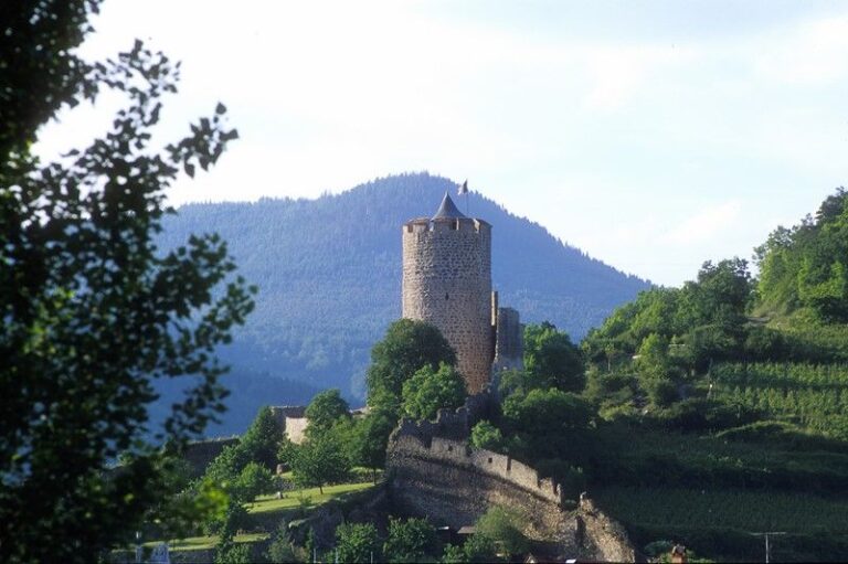 Day 4: Kaysersberg - Munster