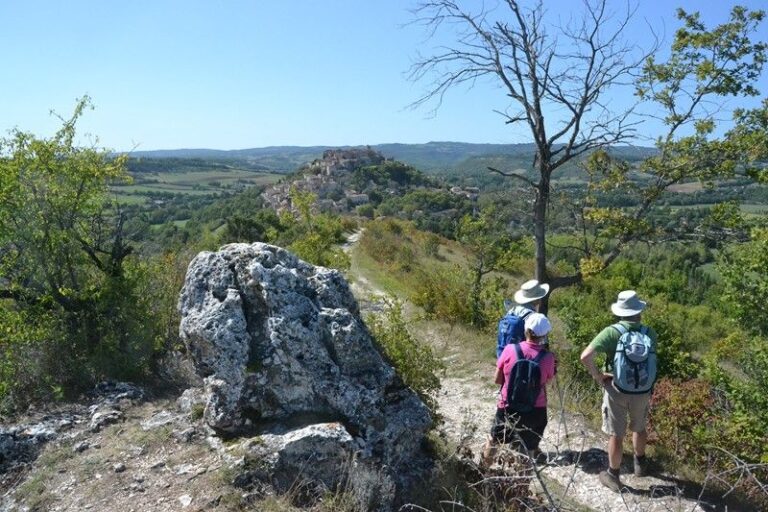 Day 2: Castelnau-de-Montmiral - Donnazac