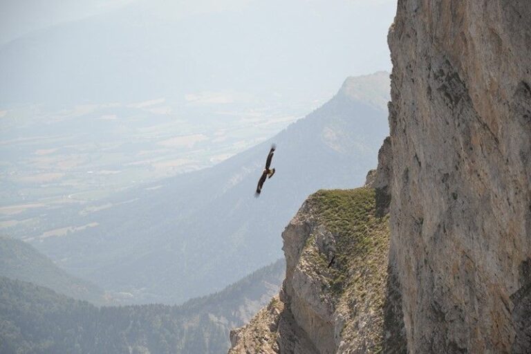 Day 5: Gresse-en-Vercors - Richardiere