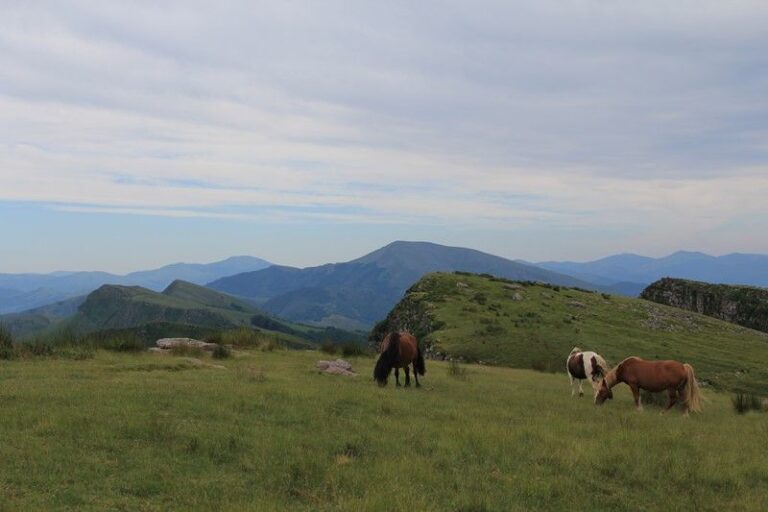 Day 5: Col des Veaux - Sare