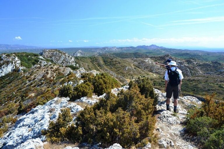 Day 7: Eygalieres to St Remy de Provence