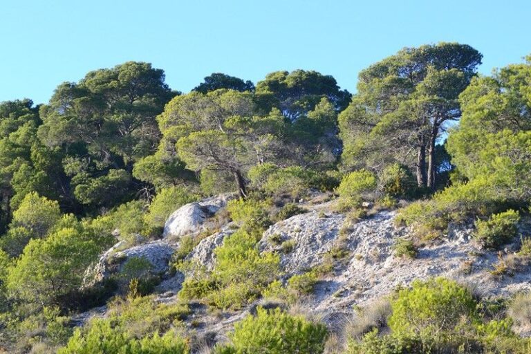 Day 6: Bonnieux - Roussillon
