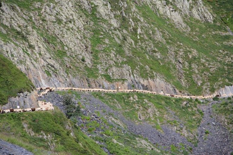 Day 5: Gourette - Arrens Marsous
