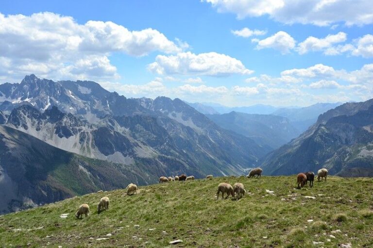 Day 6: Fouillouse - Val d'Escreins