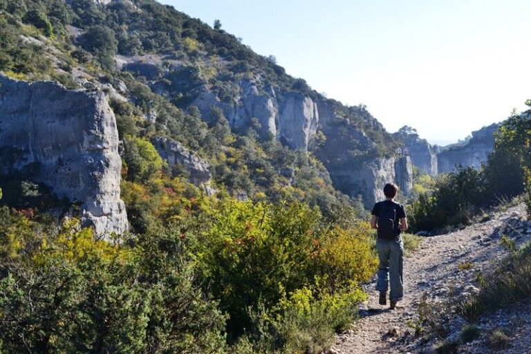Day 2: Walk from Gordes