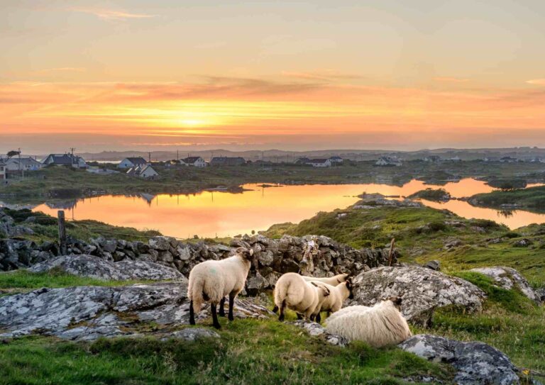Day 6: Welcome to Clifden