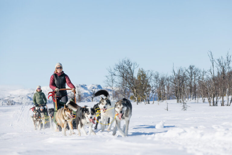 Dog sledding through Gargia Valley in Arctic Norway with High Point Holidays