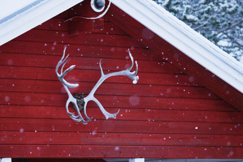 Traditional Swedish house in Luleå, Swedish Lapland, in winter