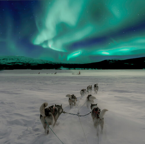 Northern Lights and husky sledding in Lapland