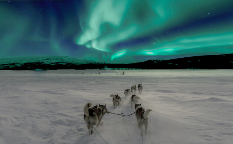Northern Lights and husky sledding in Lapland