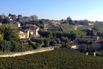 20240209131642_bordeaux_vines