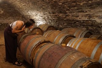 Visit to an artisan distillery in France and discover local spirits