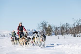 Dog sledding through Gargia Valley in Arctic Norway with High Point Holidays
