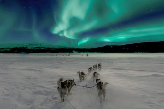 Northern Lights and husky sledding in Lapland
